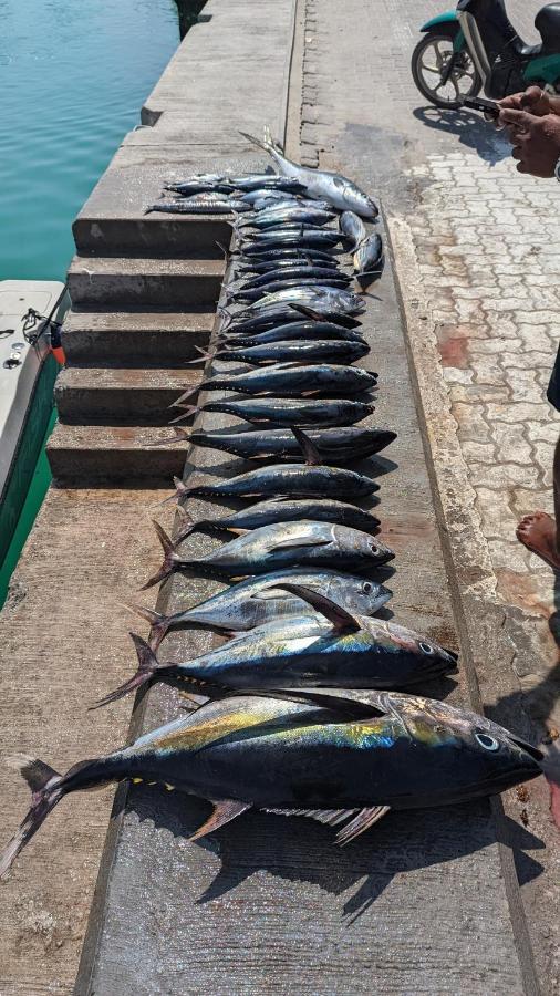 Dhoani Maldives Guesthouse Kendhoo Eksteriør bilde